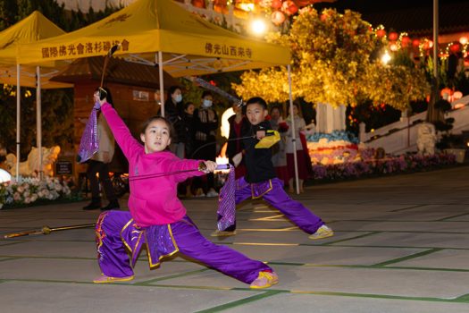 核桃分會小小武術家，刀光劍影之間，氣勢如虹。