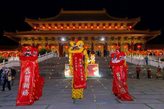 祥獅報喜、迎春納福。