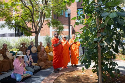 Ven. Piyananda Walpola長老與南傳法師們，為菩提樹祈福祝禱。