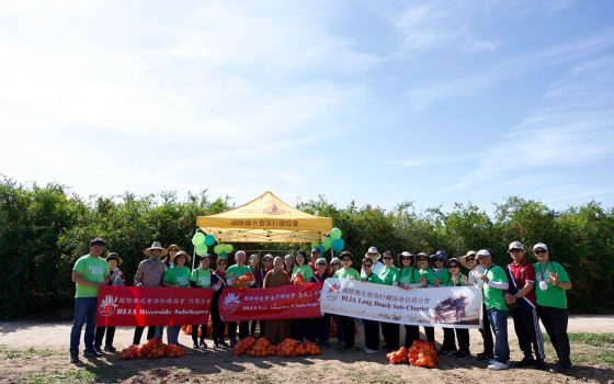 河濱、洛城二與長堤分會則走進橙園，在果香中健行、摘橘、遊戲與茶敘。