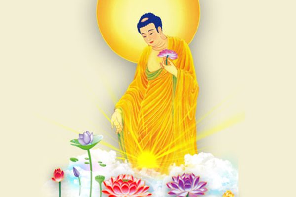 amitabha7-1-900x600-1.jpg